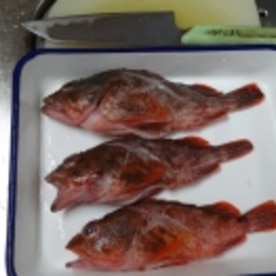 ちょっと高級感 カサゴの塩焼き レシピ 作り方 By Startrek 楽天レシピ ちょっと高級感 カサゴの塩焼き レシピ 作り方 By Startrek 楽天レシピ